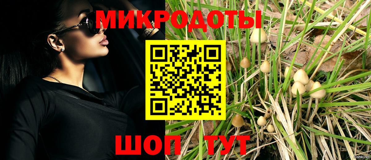 Псилоцибиновые грибы Cubensis Анапа